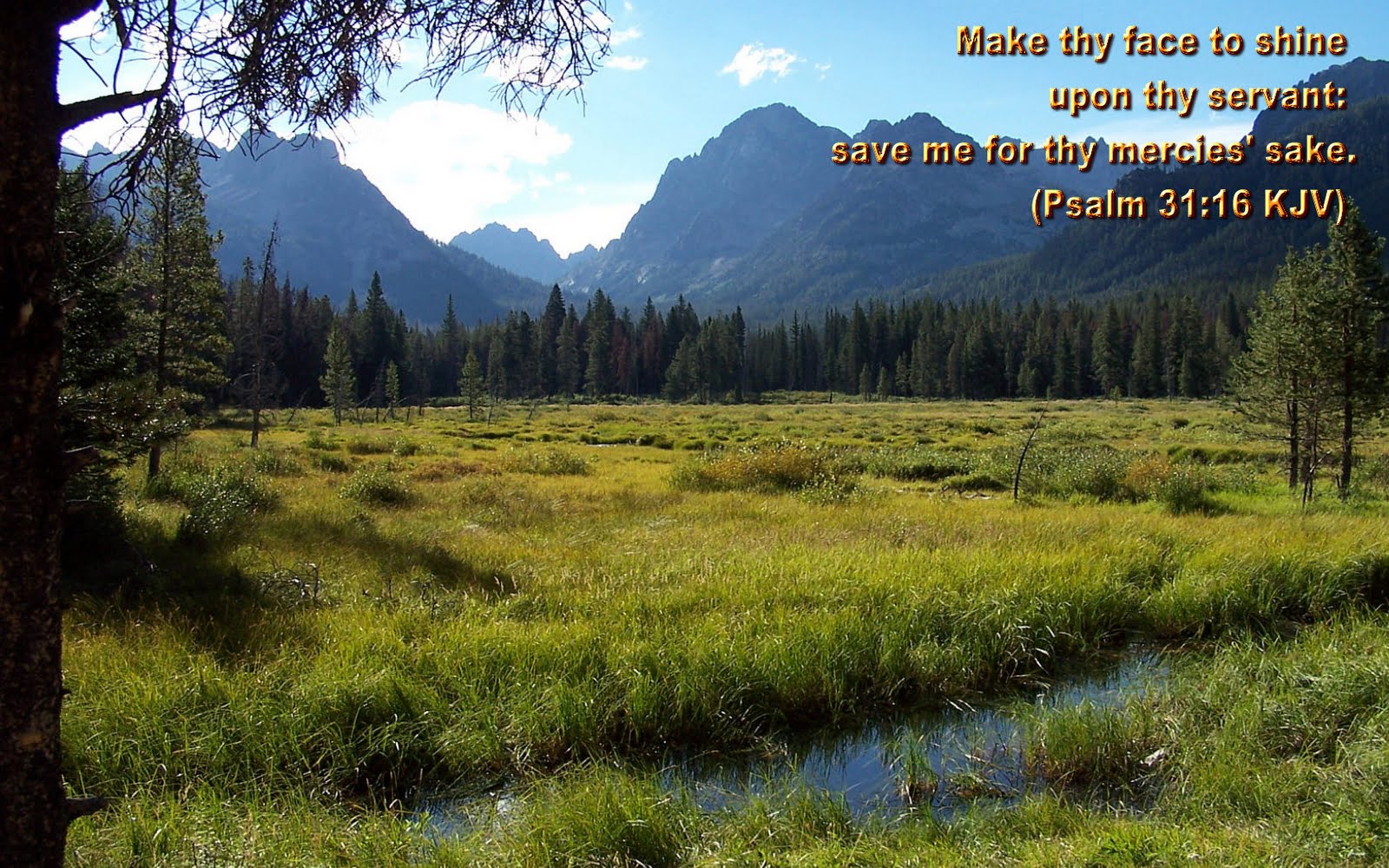 Psalm Bible Verses Wallpapers - Bible Quotes About Scenery , HD Wallpaper & Backgrounds