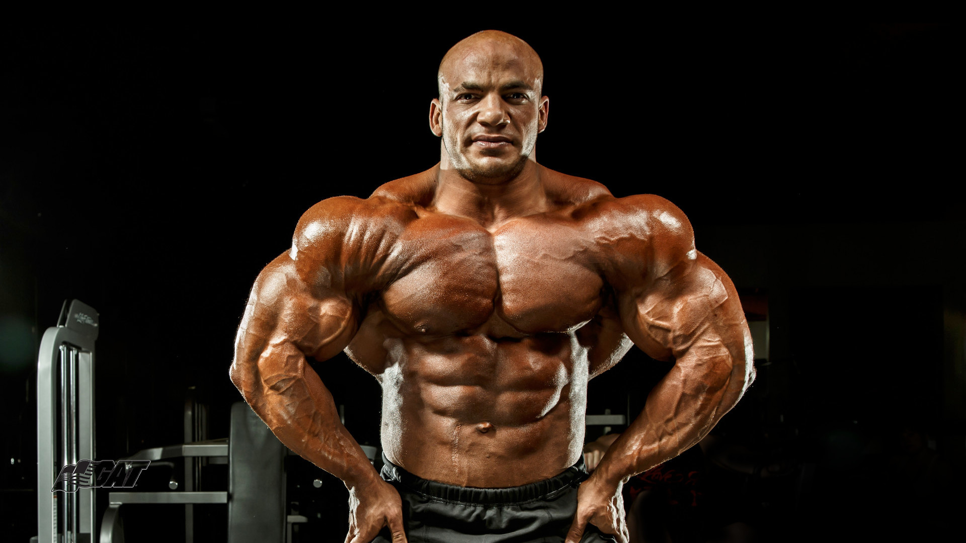 Bodybuilding Wallpaper - Big Ramy , HD Wallpaper & Backgrounds