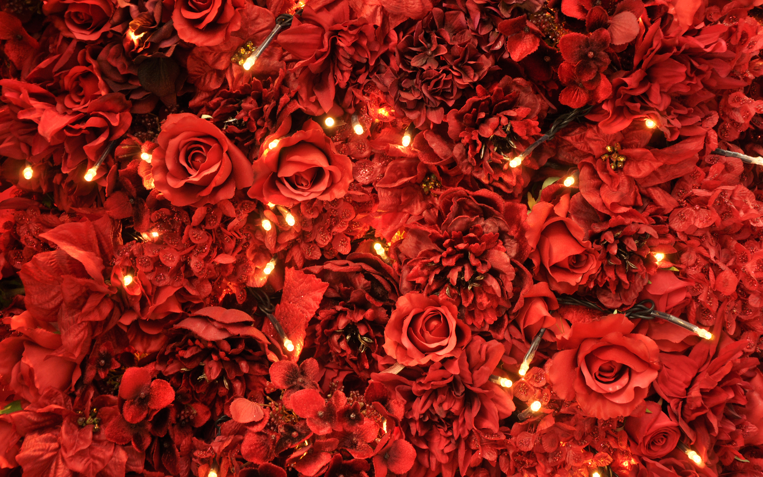 Red Roses With Lights - Light Red Roses Background , HD Wallpaper & Backgrounds
