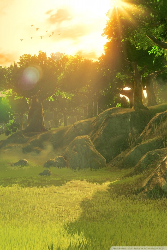 Ideas Legend Of Zelda Breath The Wild Iphone Wallpapers - Breath Of The Wild , HD Wallpaper & Backgrounds