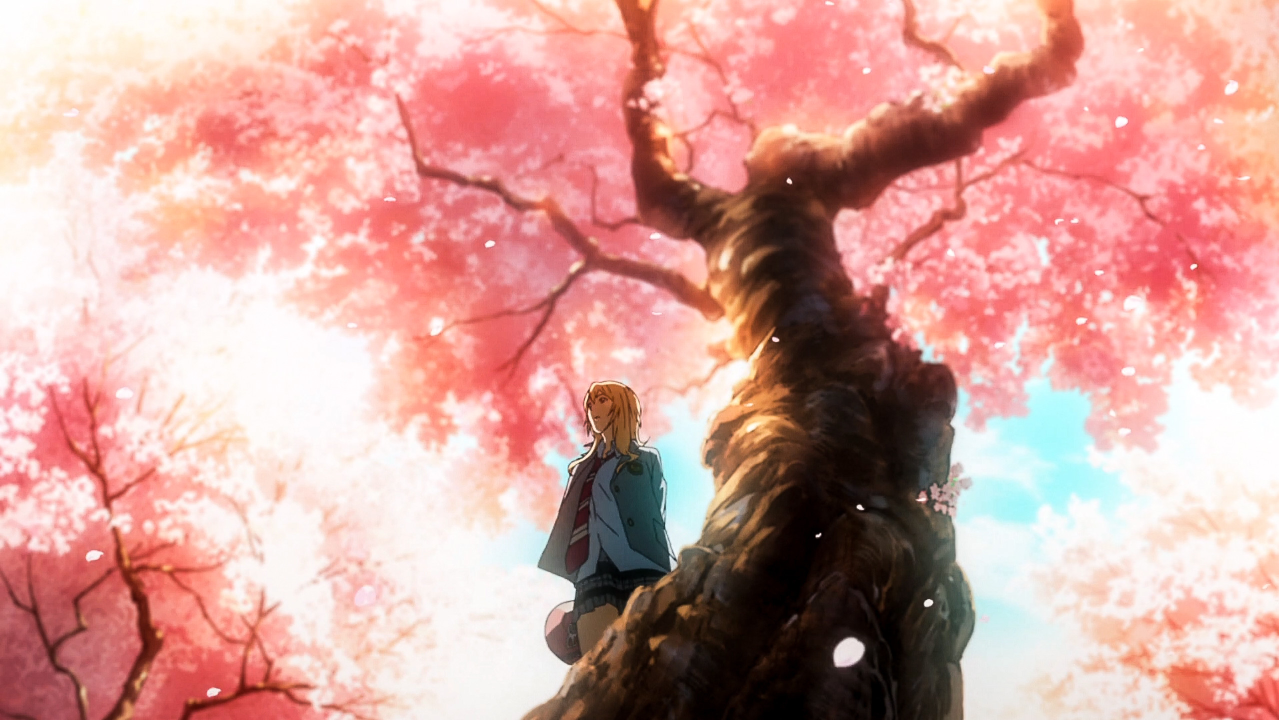 Your Lie In April Wallpaper - Your Lie In April Anime Cherry Blossom , HD Wallpaper & Backgrounds