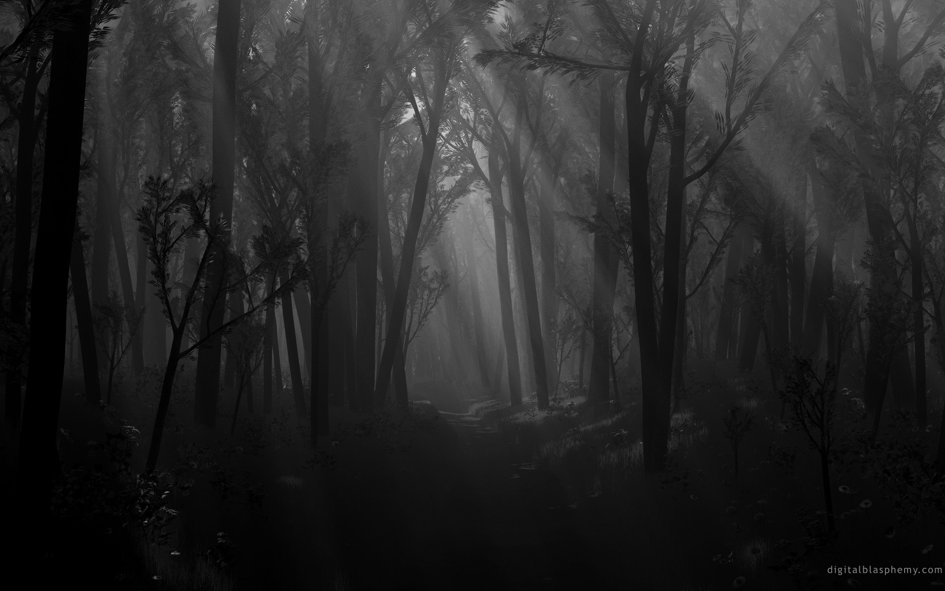 Dark Black And White Wallpaper - Lost In The Dark Forest , HD Wallpaper & Backgrounds