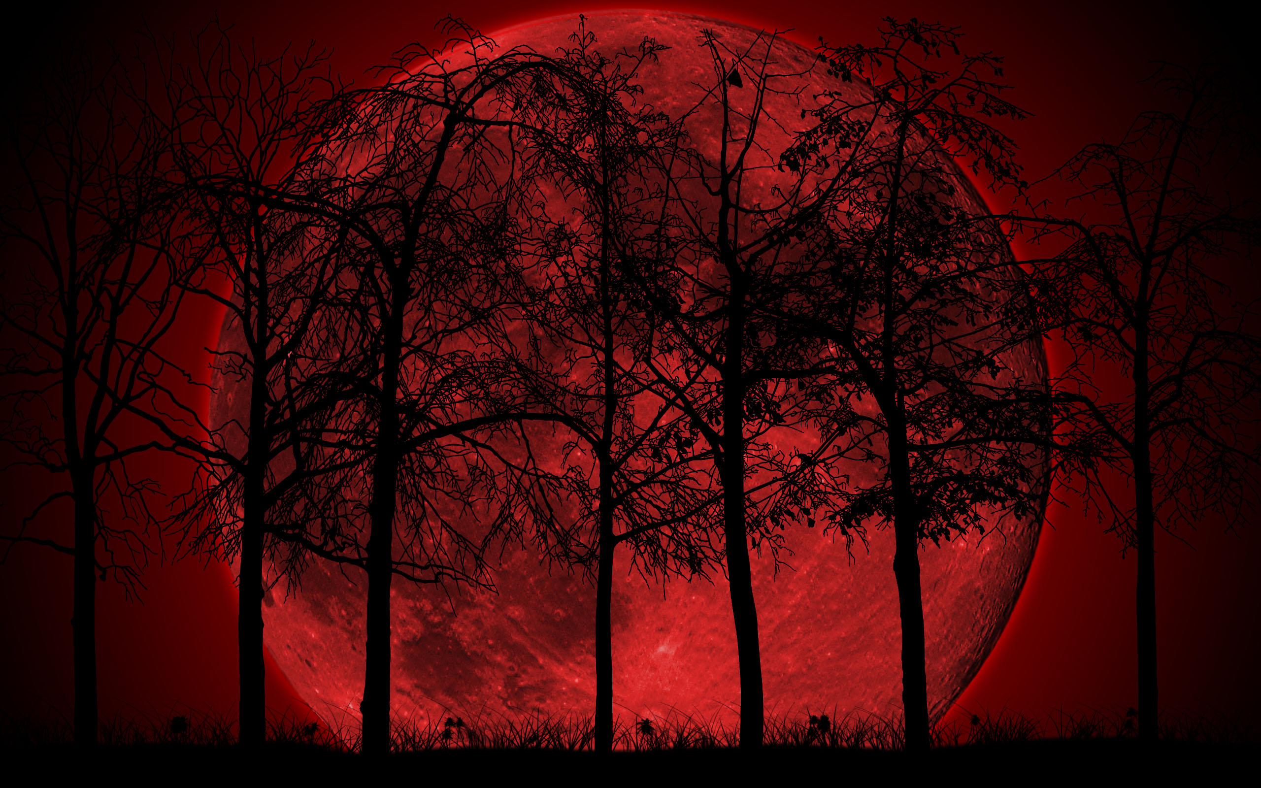 Dark Forest Wallpaper For Pc Pictures - Blood Moon In Forest , HD Wallpaper & Backgrounds