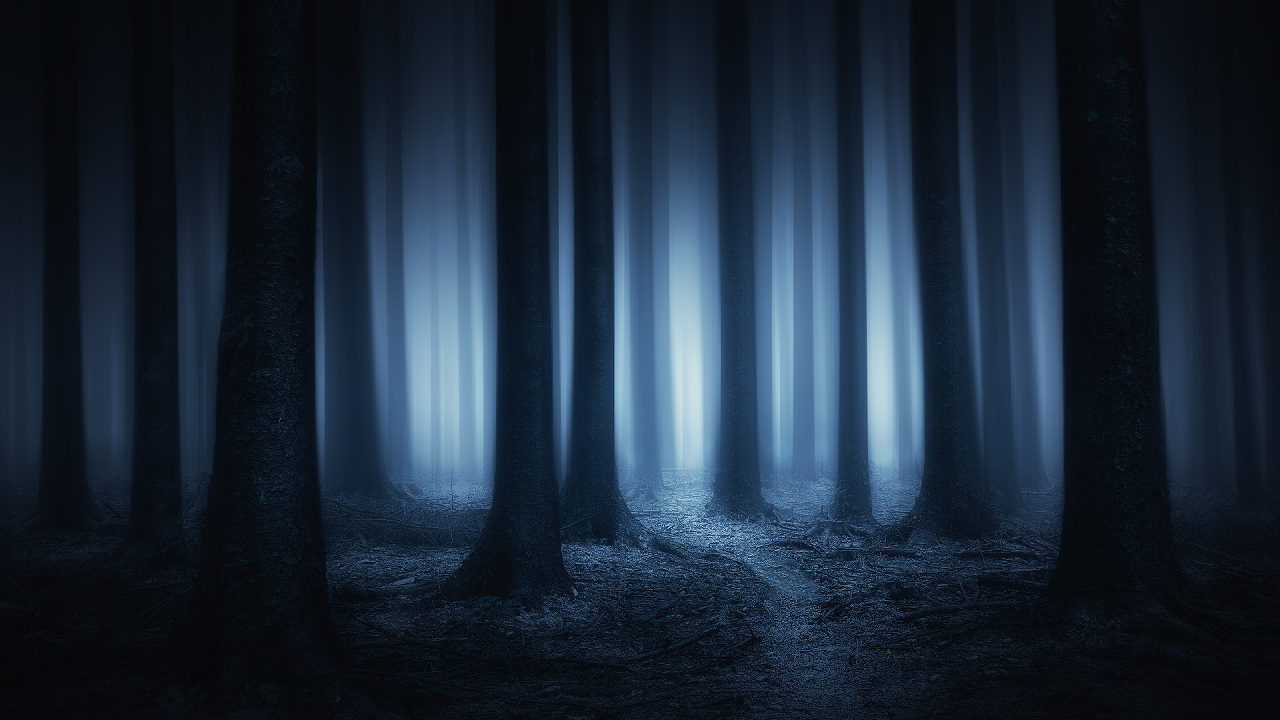 Awesome Dark Forest Pics Collection , HD Wallpaper & Backgrounds