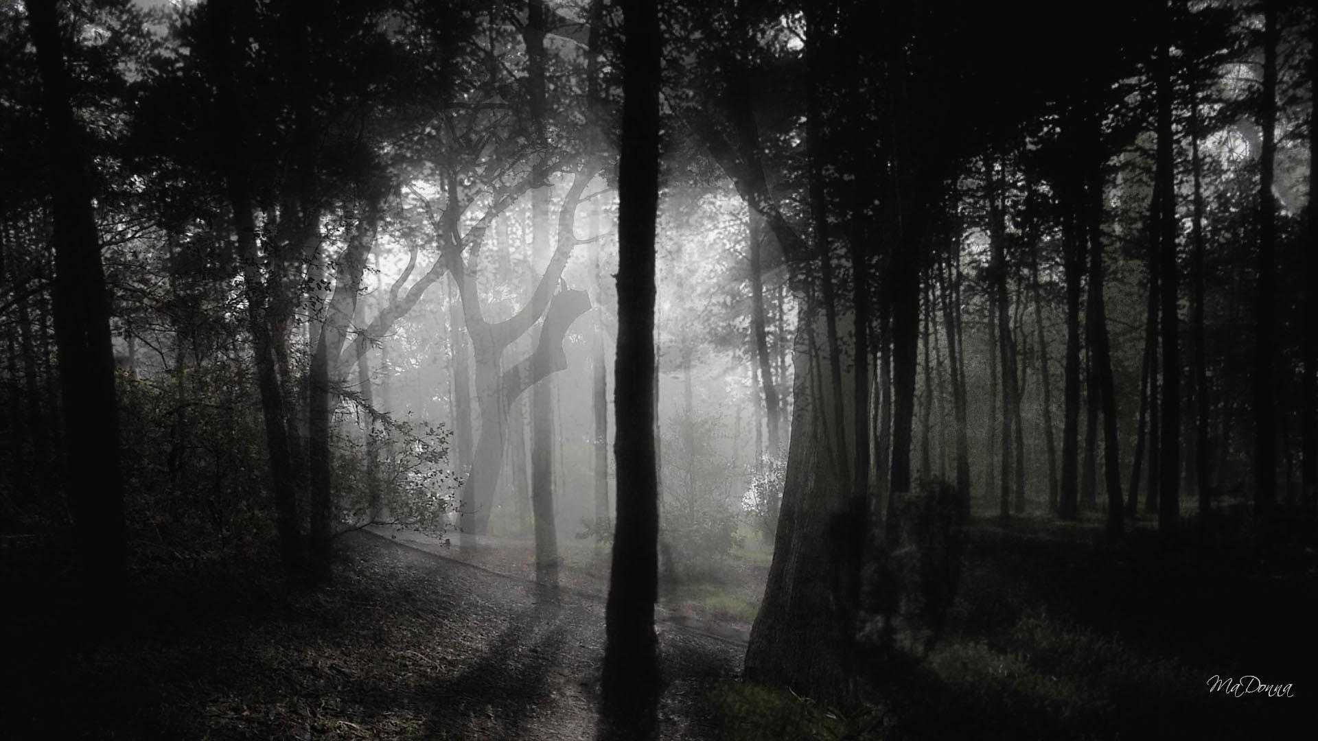 Gothic Images In The Woods , HD Wallpaper & Backgrounds