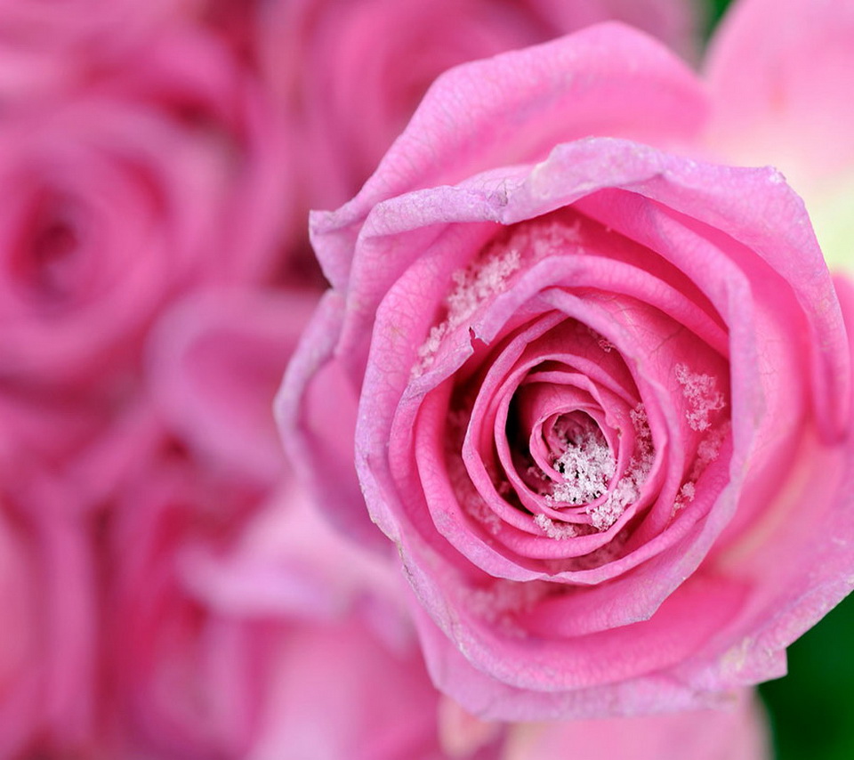 Full Screen Wallpaper Full Screen Hd Wallpaper For Android Phone