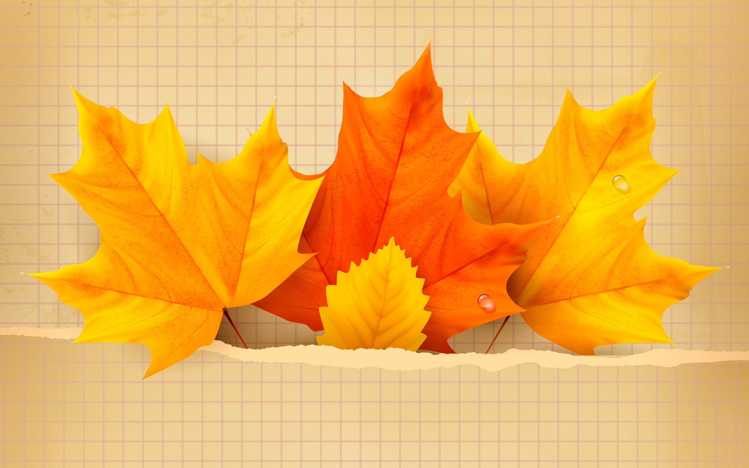 3 Beautiful Autumn Leaves Wallpaper - Autumn , HD Wallpaper & Backgrounds