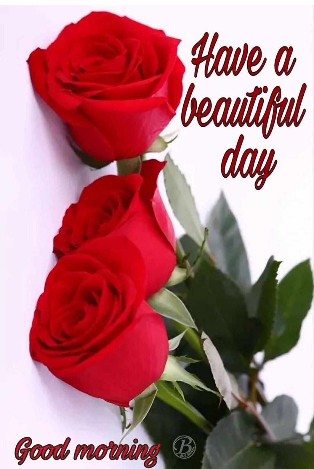 Good Morning Friends - Good Morning Friend With Roses , HD Wallpaper & Backgrounds