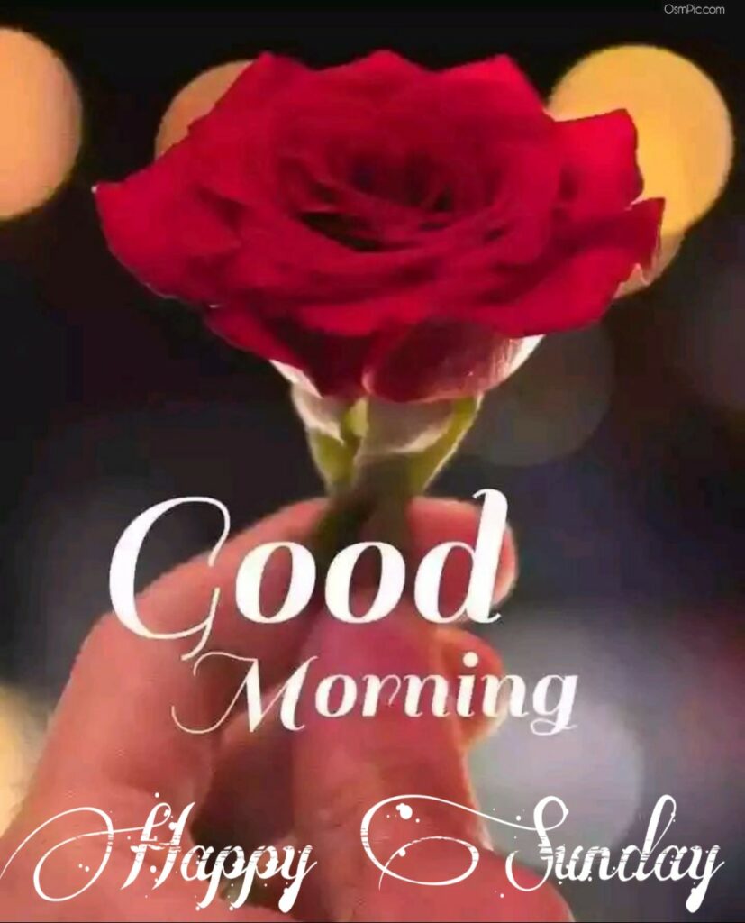 Osm Pic Good Morning Happy Sunday Flowers Images Good Morning