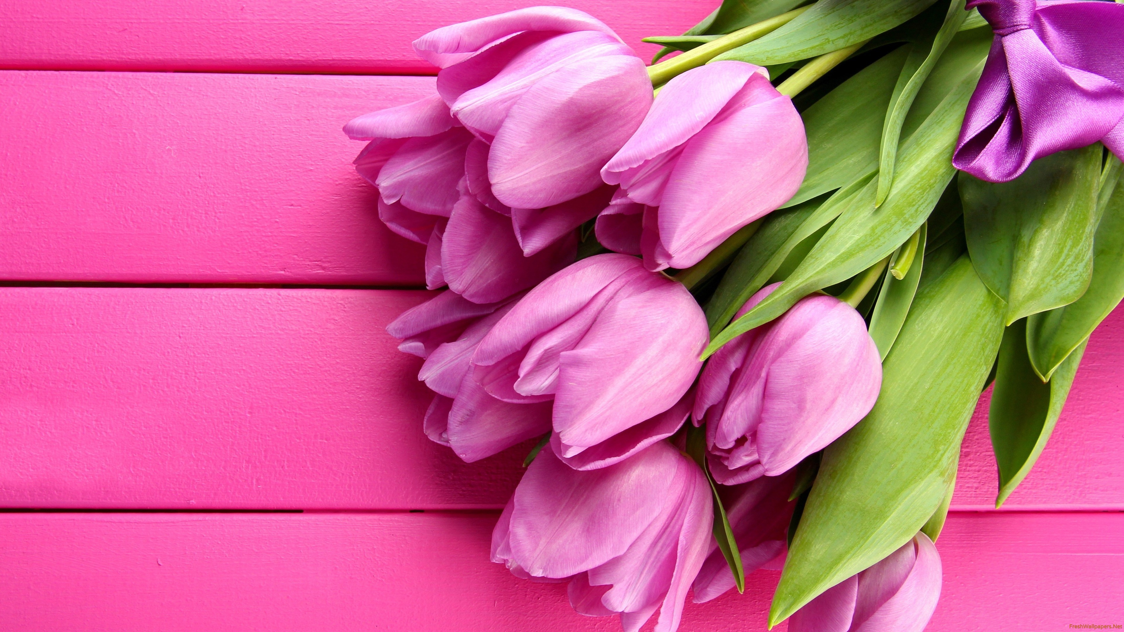 Beautiful Pink Tulips Wallpaper - Tulip Flower Wallpaper Hd , HD Wallpaper & Backgrounds