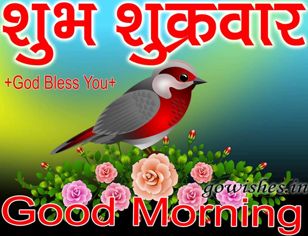 Good Morning Friday Images - Good Morning Image Sunday , HD Wallpaper & Backgrounds