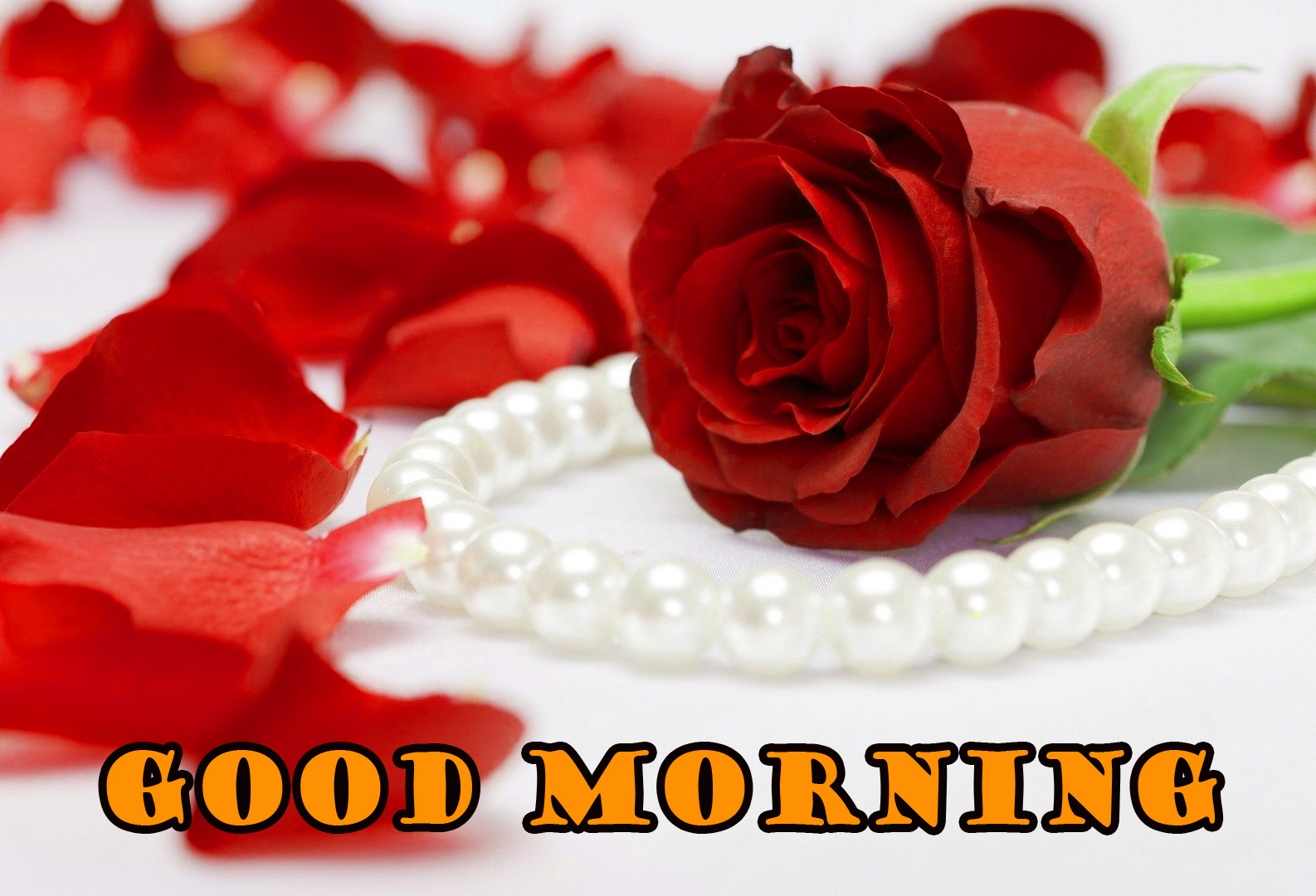 Good Morning Red Rose Pictures Images Photo Download - Good Morning Red Rose , HD Wallpaper & Backgrounds