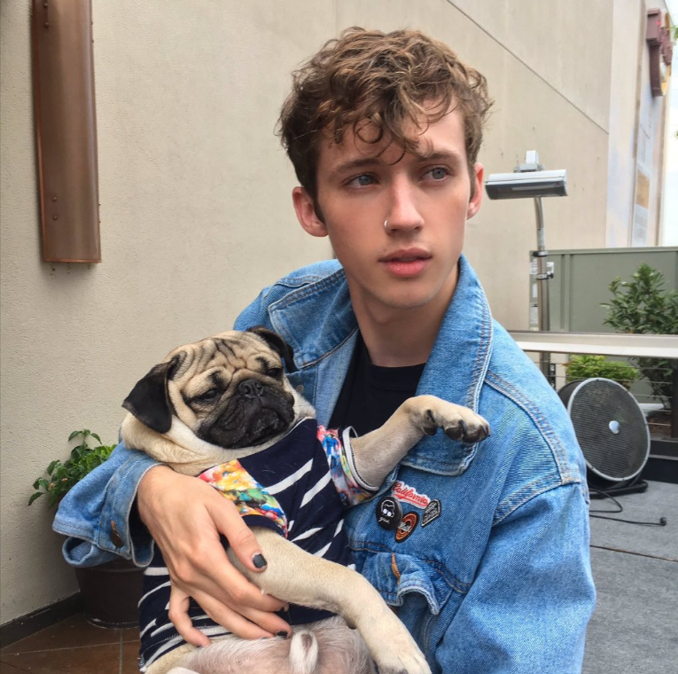 Troye Sivan Wallpaper Containing A Pug Called Troye - Troye Sivan Black And White , HD Wallpaper & Backgrounds