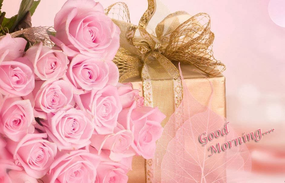 Good Morning Rose Pink Gift Celebration Wallpaper - Good Morning Beautiful Flower Beautiful , HD Wallpaper & Backgrounds