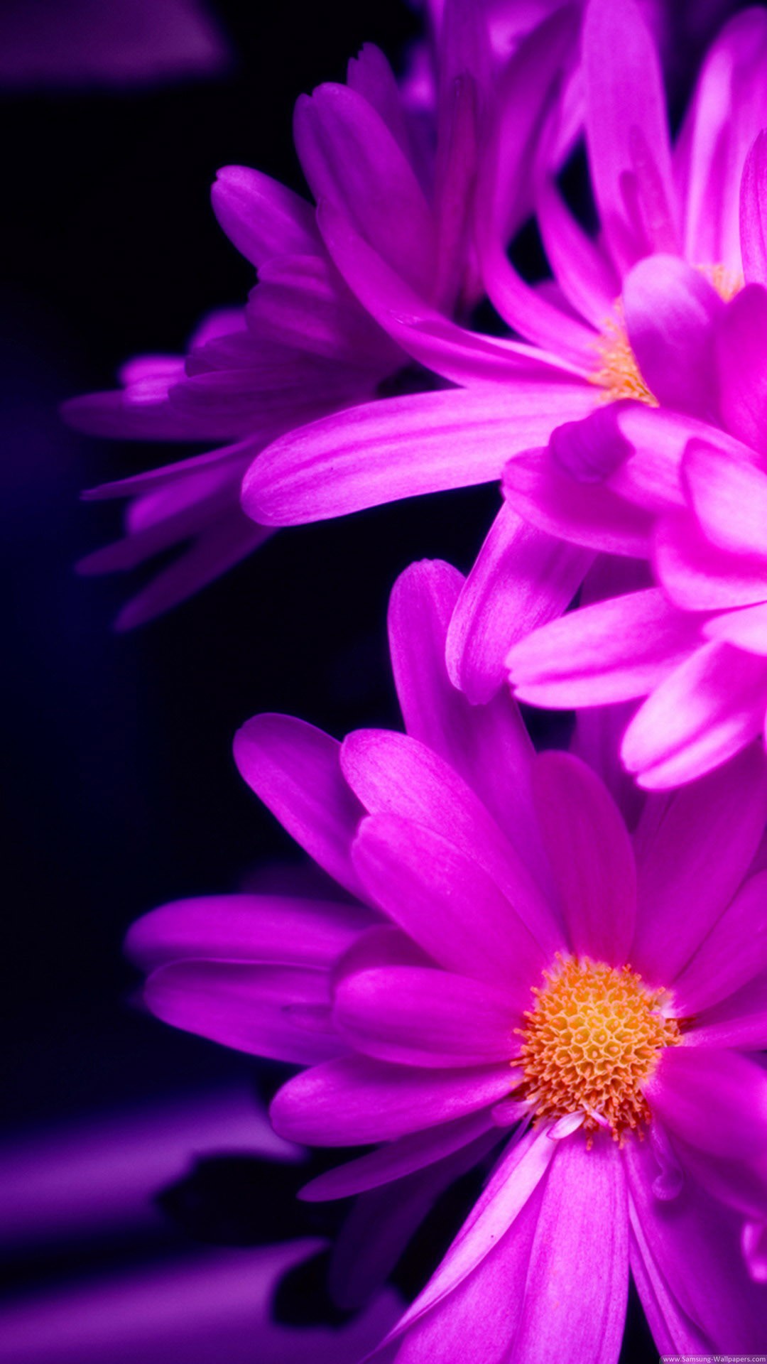 Hd Wallpapers 5 Inch Display 640 X 1136 - Iphone Hd Flower , HD Wallpaper & Backgrounds