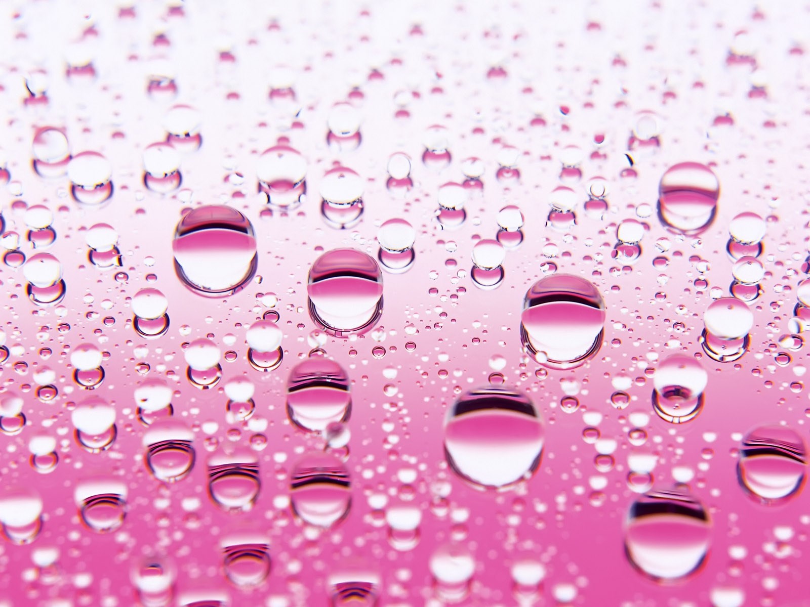 Pink Wallpaper Hd Water , HD Wallpaper & Backgrounds