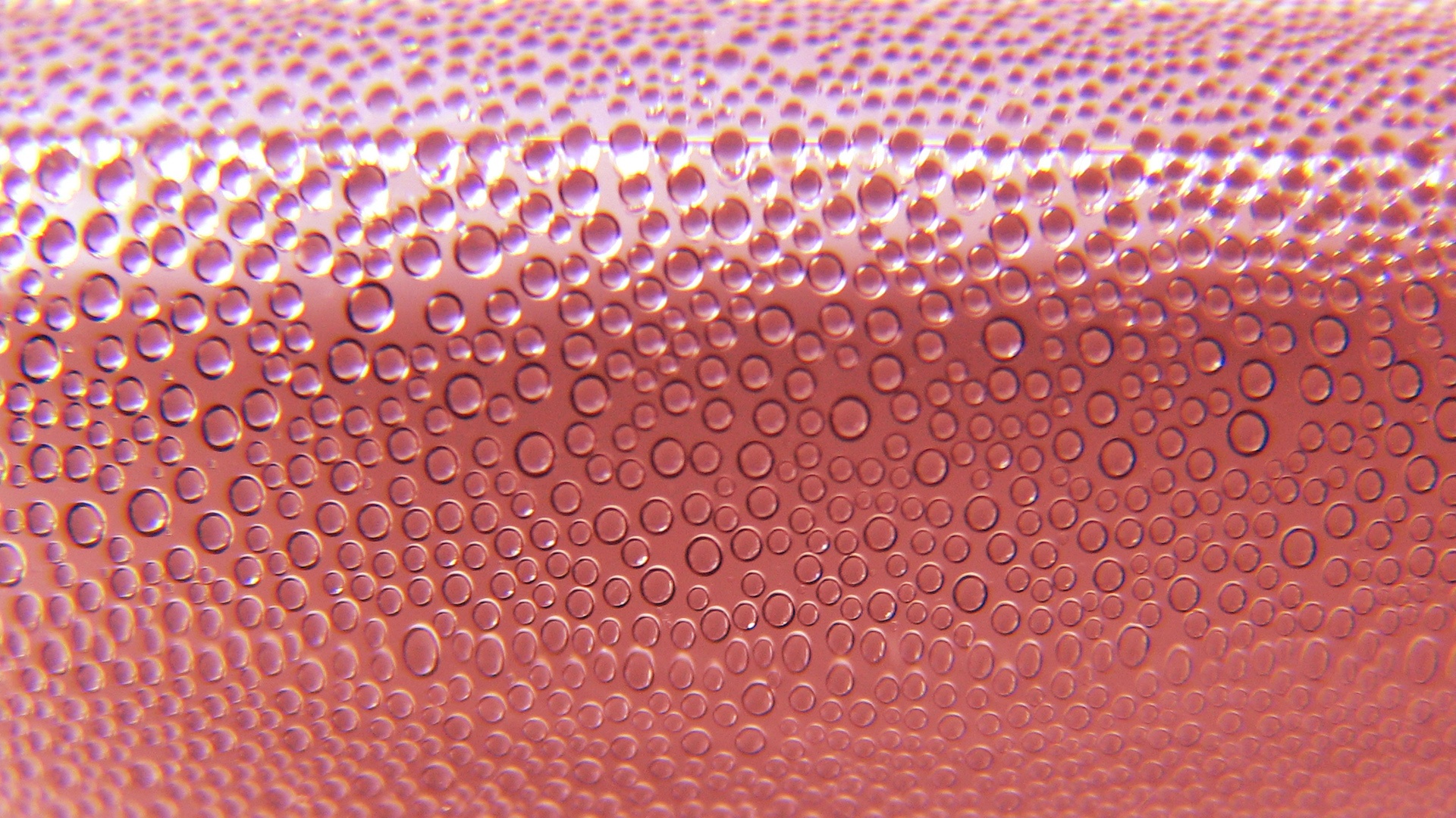 Adorable Pink Bubble Photos And Pictures, Pink Bubble - Seamless White Leather Texture , HD Wallpaper & Backgrounds