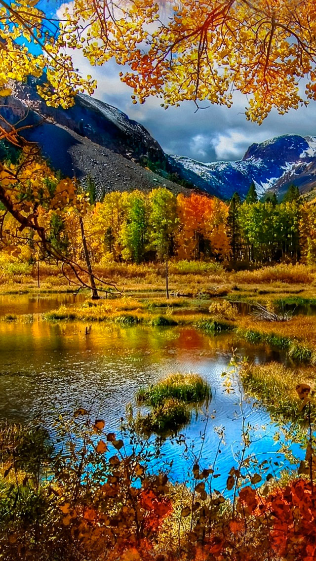 Mountain Autumn Iphone Se Wallpaper - Iphone Wallpaper Fall Colors , HD Wallpaper & Backgrounds