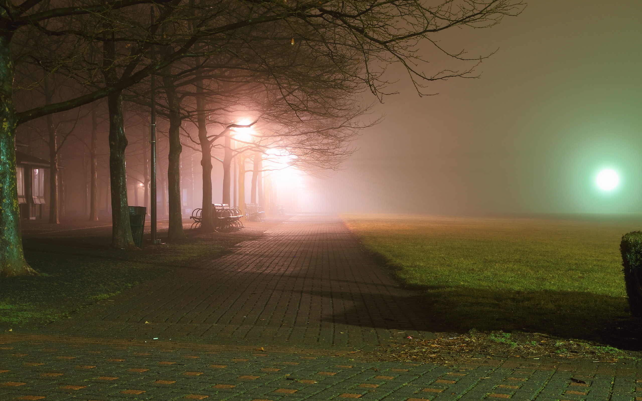 City Aeyaey Park Night Bench Fog Sidewalk Grass Lights - Ночной Парк В Тумане , HD Wallpaper & Backgrounds