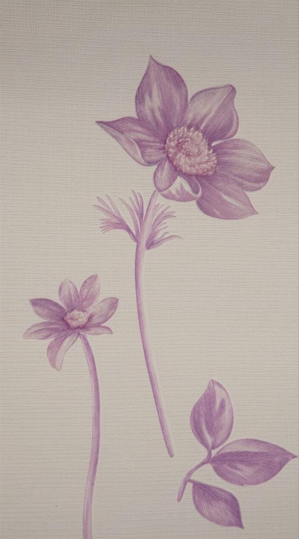 Bunga Walpaper Cantik , HD Wallpaper & Backgrounds