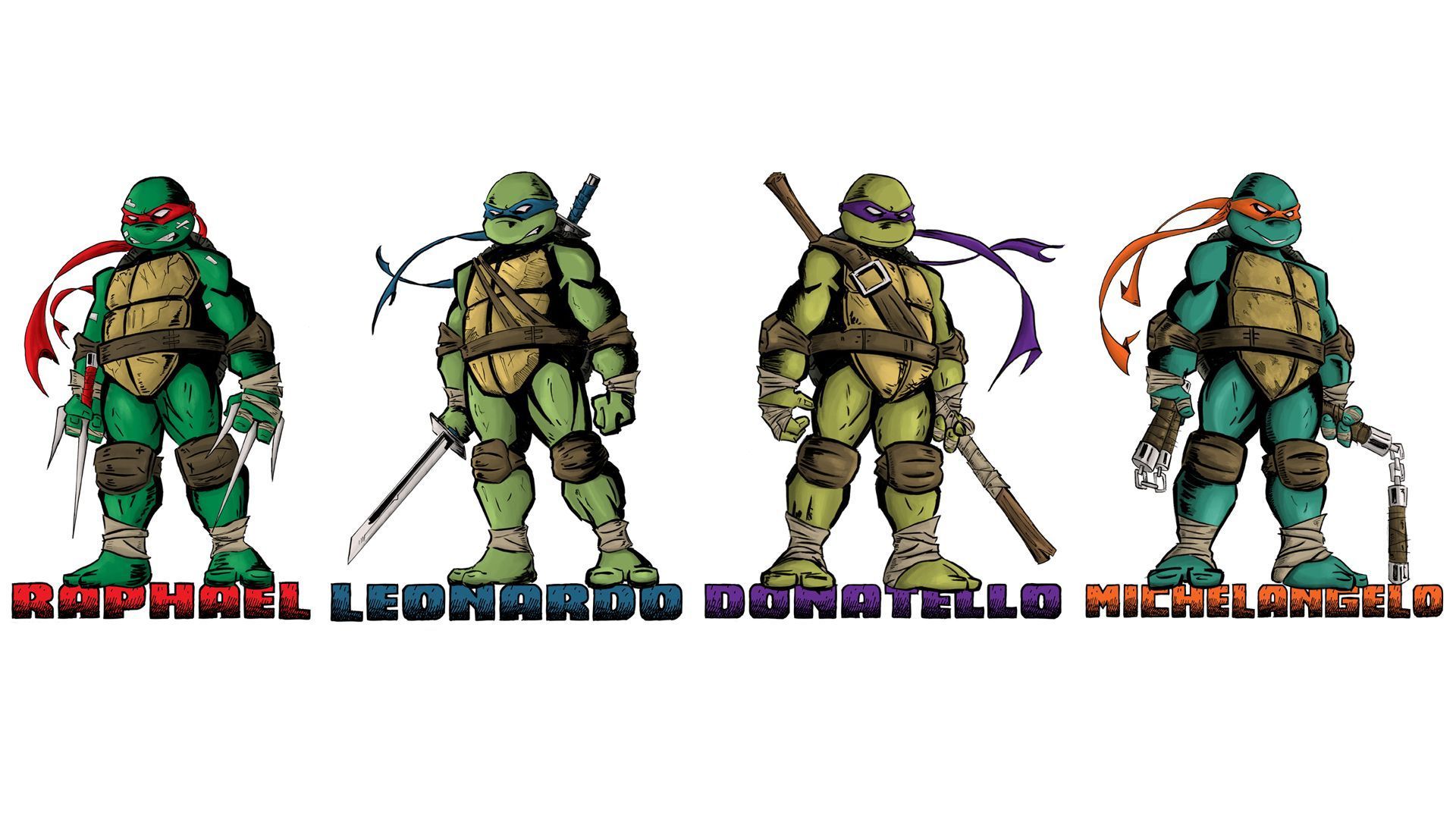 Turtle Wallpaper Hd - Teenage Mutant Ninja Turtles White Background , HD Wallpaper & Backgrounds