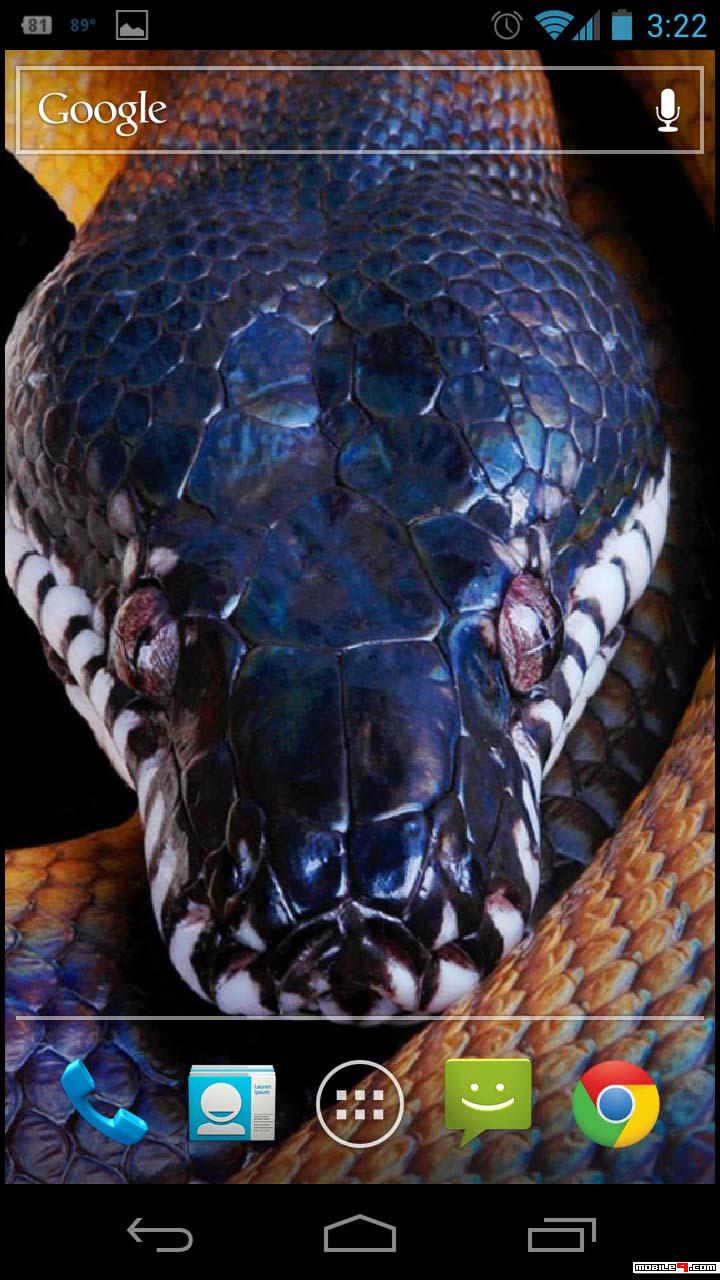 Python Background Snake , HD Wallpaper & Backgrounds