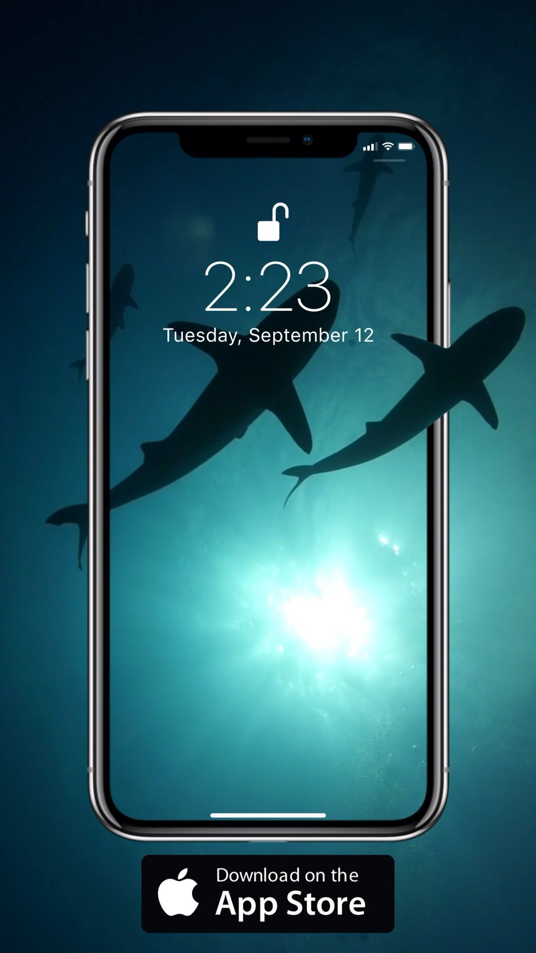 Live Shark Wallpaper Iphone , HD Wallpaper & Backgrounds