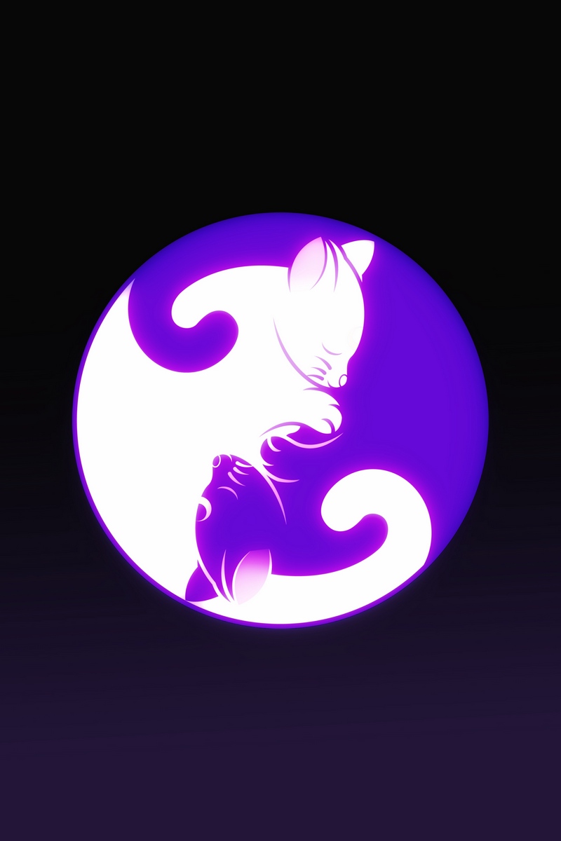 Wallpaper Yin And Yang, Yin Yang, Cat, Harmony - Cat Yin Yang Wallpaper Iphone , HD Wallpaper & Backgrounds