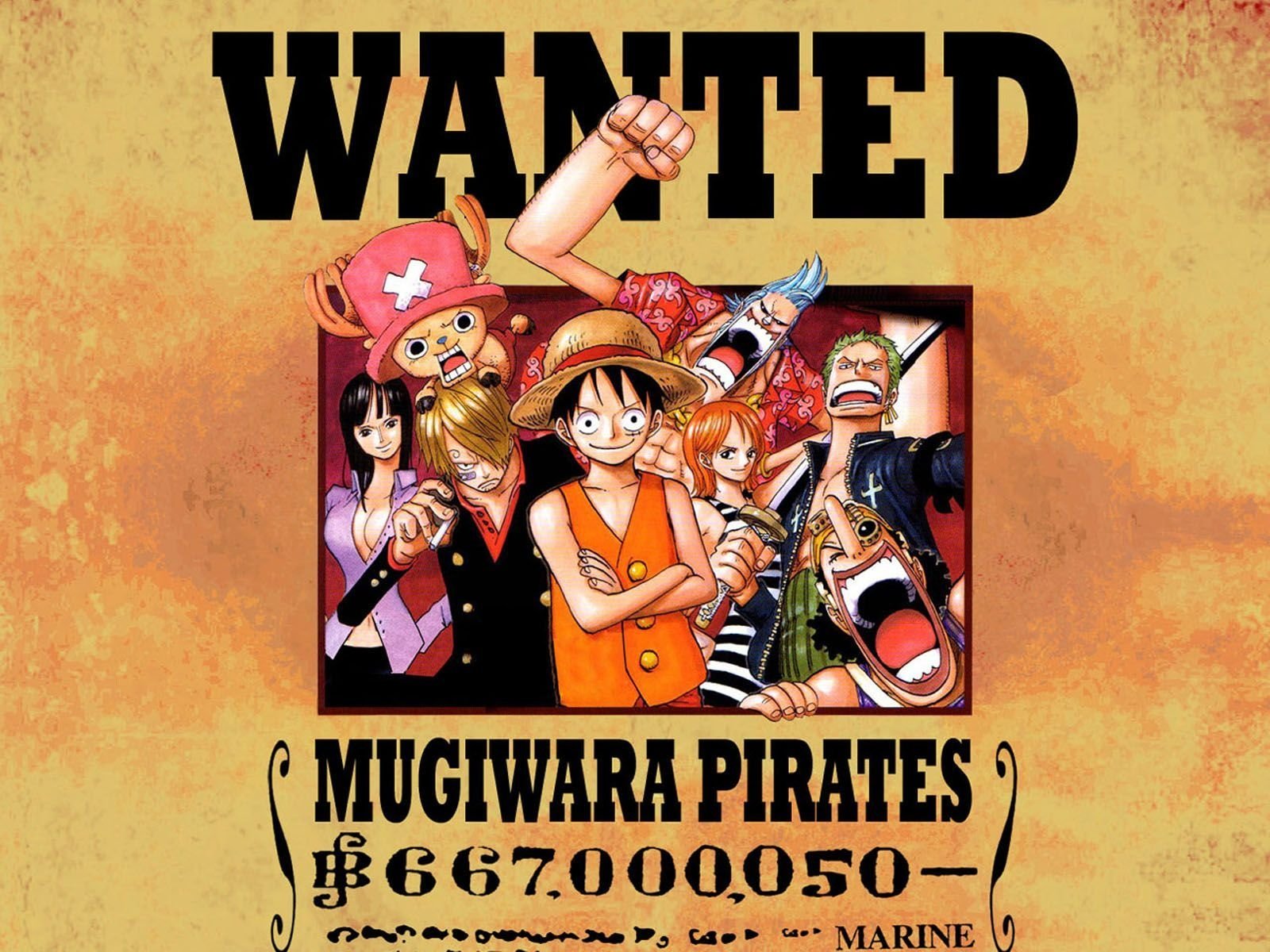 Wanted Poster One Piece Hd , HD Wallpaper & Backgrounds