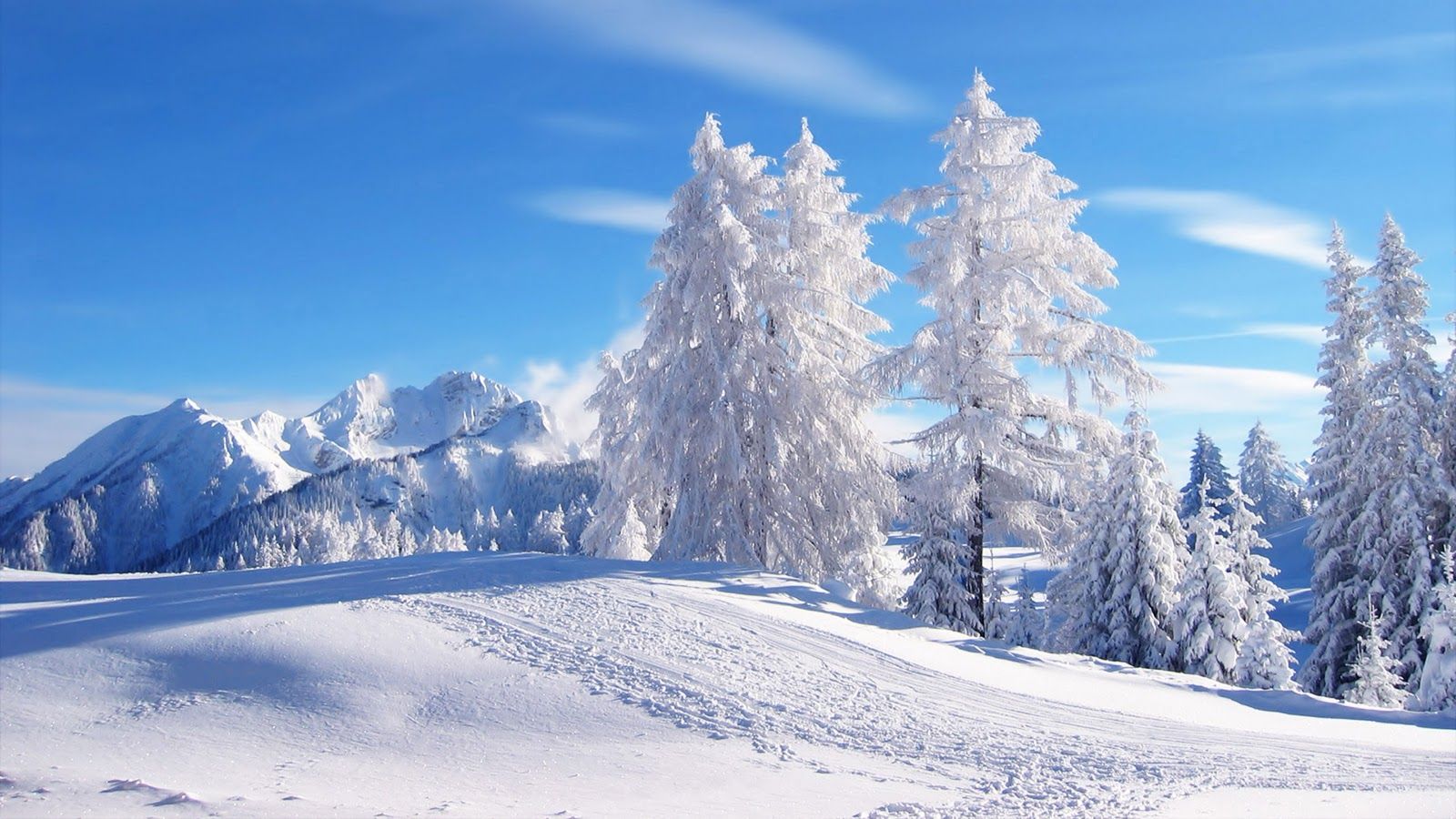Winter Scene Backgrounds , HD Wallpaper & Backgrounds