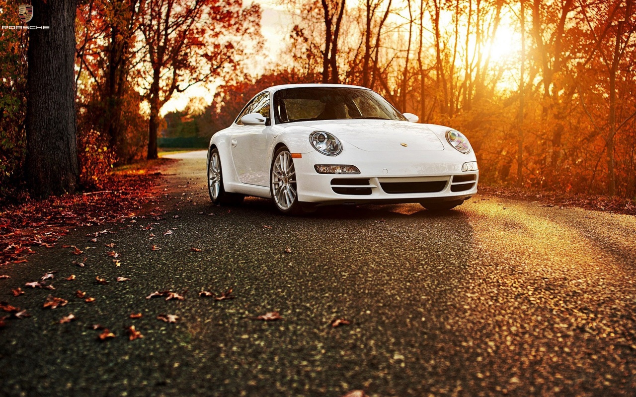Porsche Car - Background Images Car And Bike , HD Wallpaper & Backgrounds