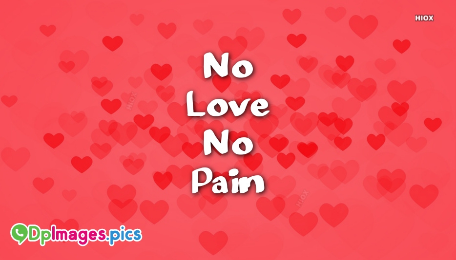 No Love No Pain Wallpaper - Wallpaper , HD Wallpaper & Backgrounds