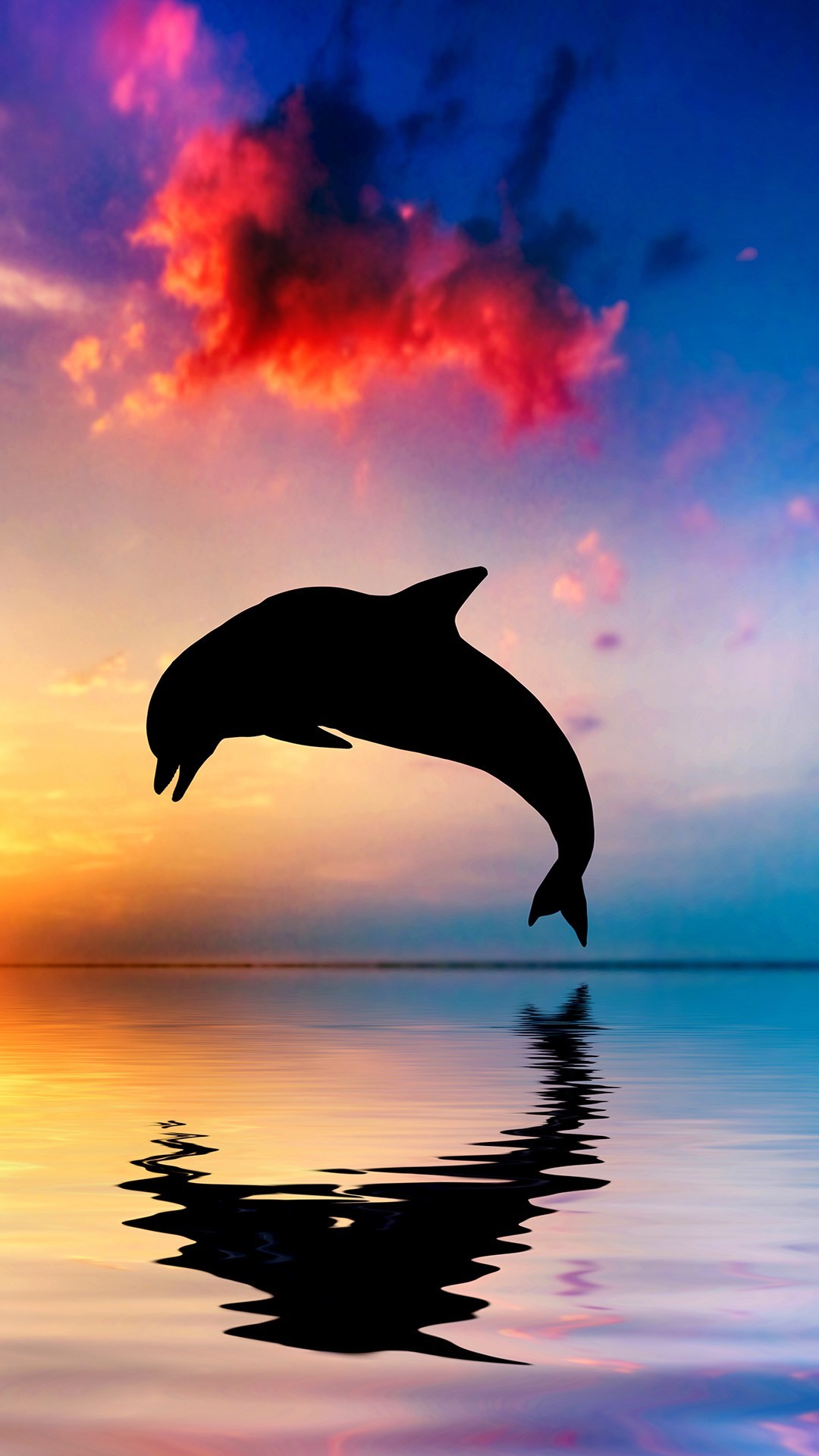 1080x1920, Free Android Wallpapers Hd - Beautiful Ocean And Sunset With Dolphin Jumping , HD Wallpaper & Backgrounds