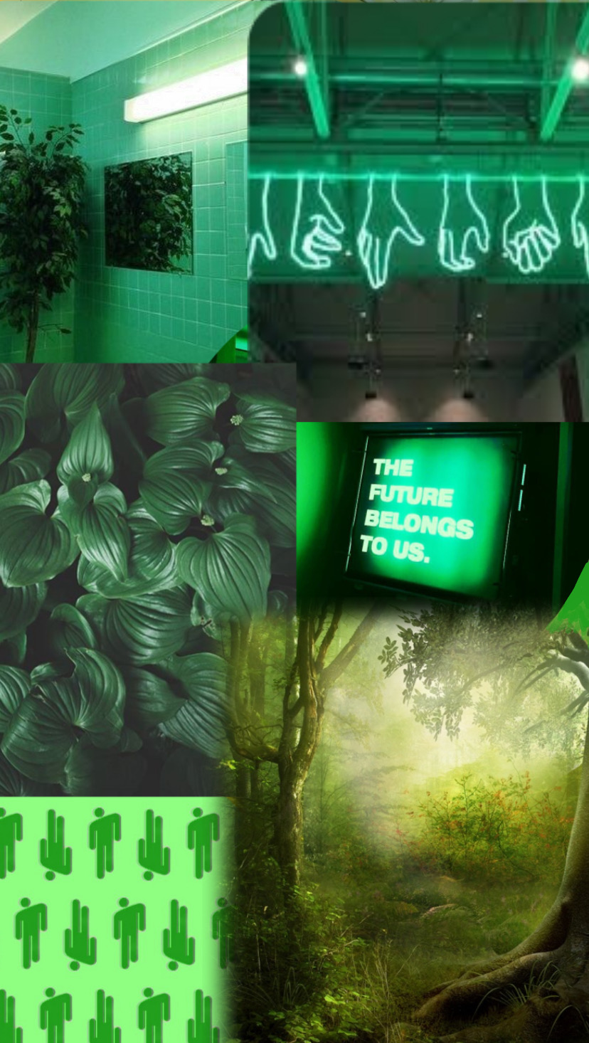 #freetoedit #green #collage #environment #wallpaper - Attalea Speciosa , HD Wallpaper & Backgrounds
