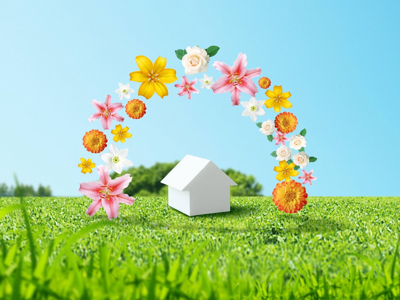 Wallpaper Flowers, Home, Environment - Wallpaper , HD Wallpaper & Backgrounds