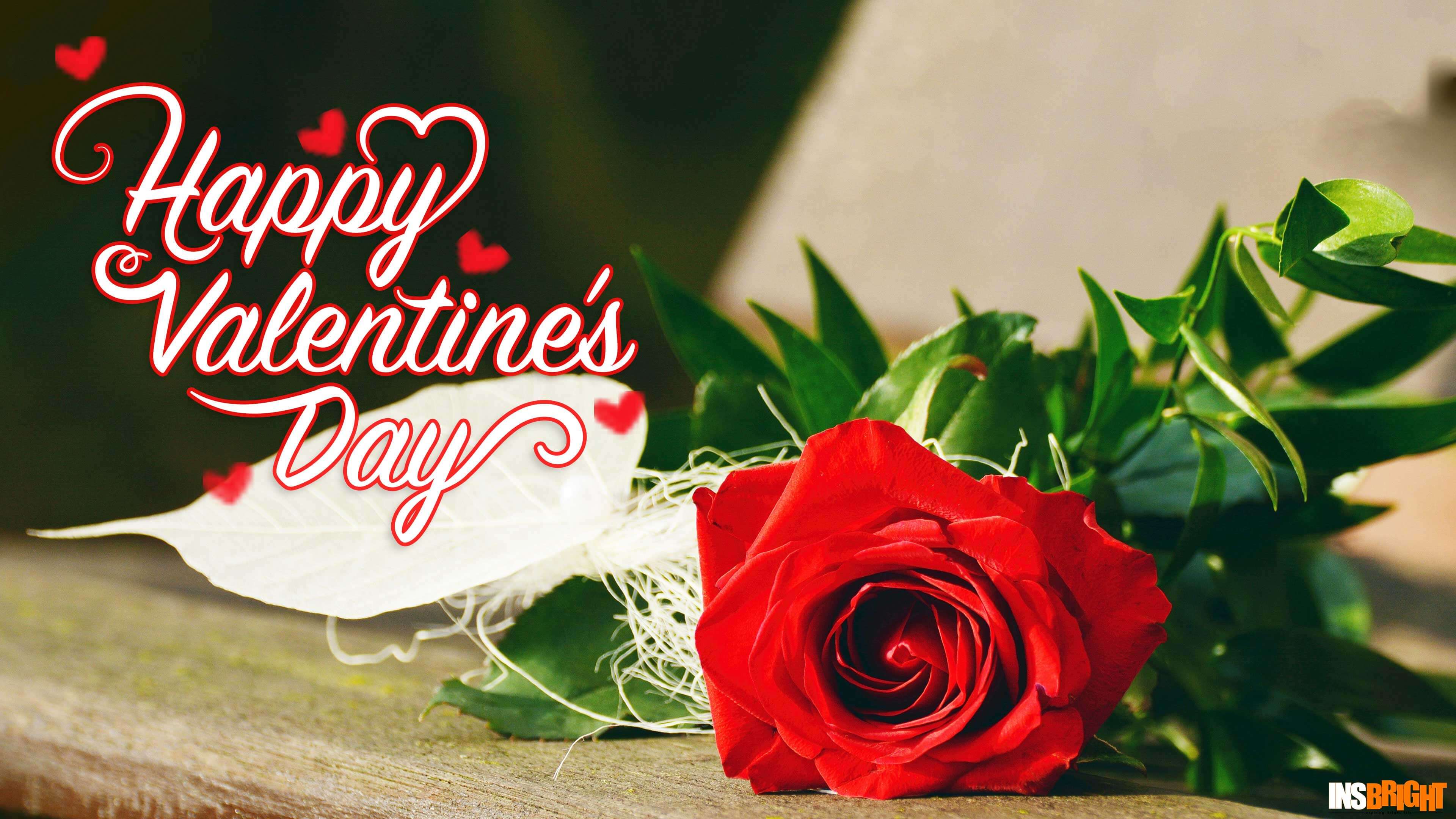 Happy Rose Day Hd , HD Wallpaper & Backgrounds