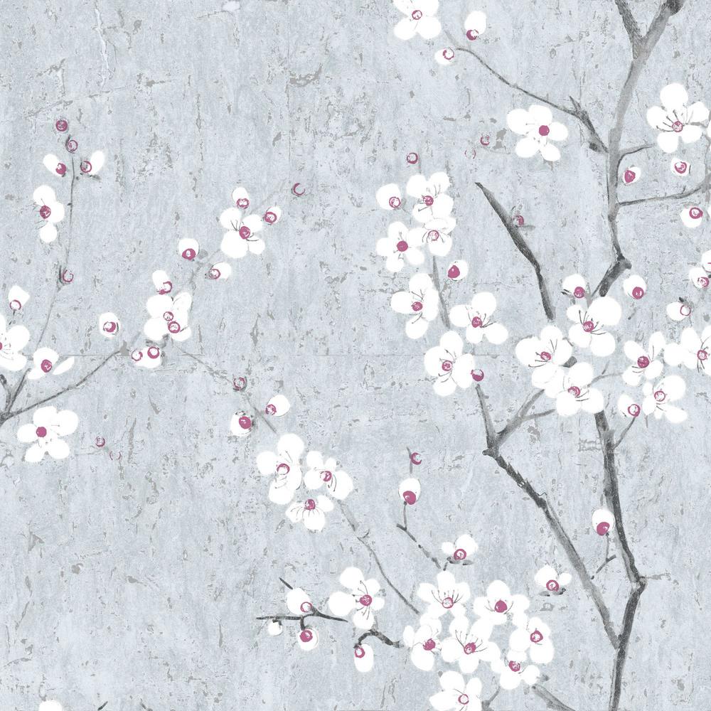 Blue Sakura , HD Wallpaper & Backgrounds