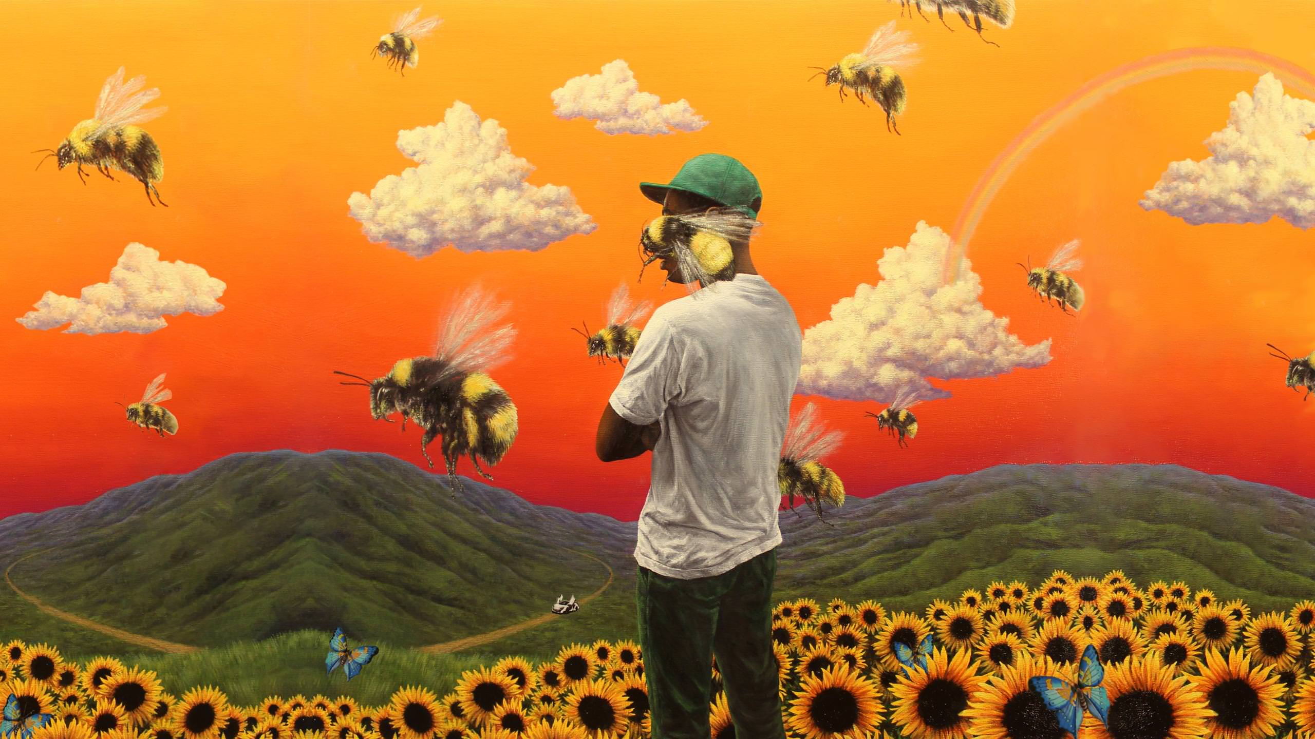 Tyler The Creator Flower Boy, Wallpaper, [2560x1440] - Tyler The Creator Flower Boy , HD Wallpaper & Backgrounds