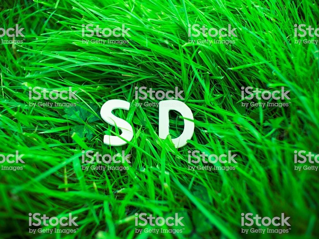 Istock Logo - Sd Letter , HD Wallpaper & Backgrounds