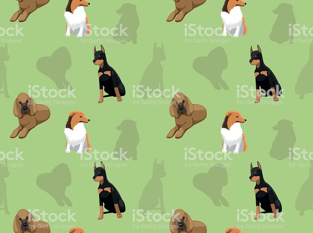 Dog Wallpaper - Companion Dog , HD Wallpaper & Backgrounds