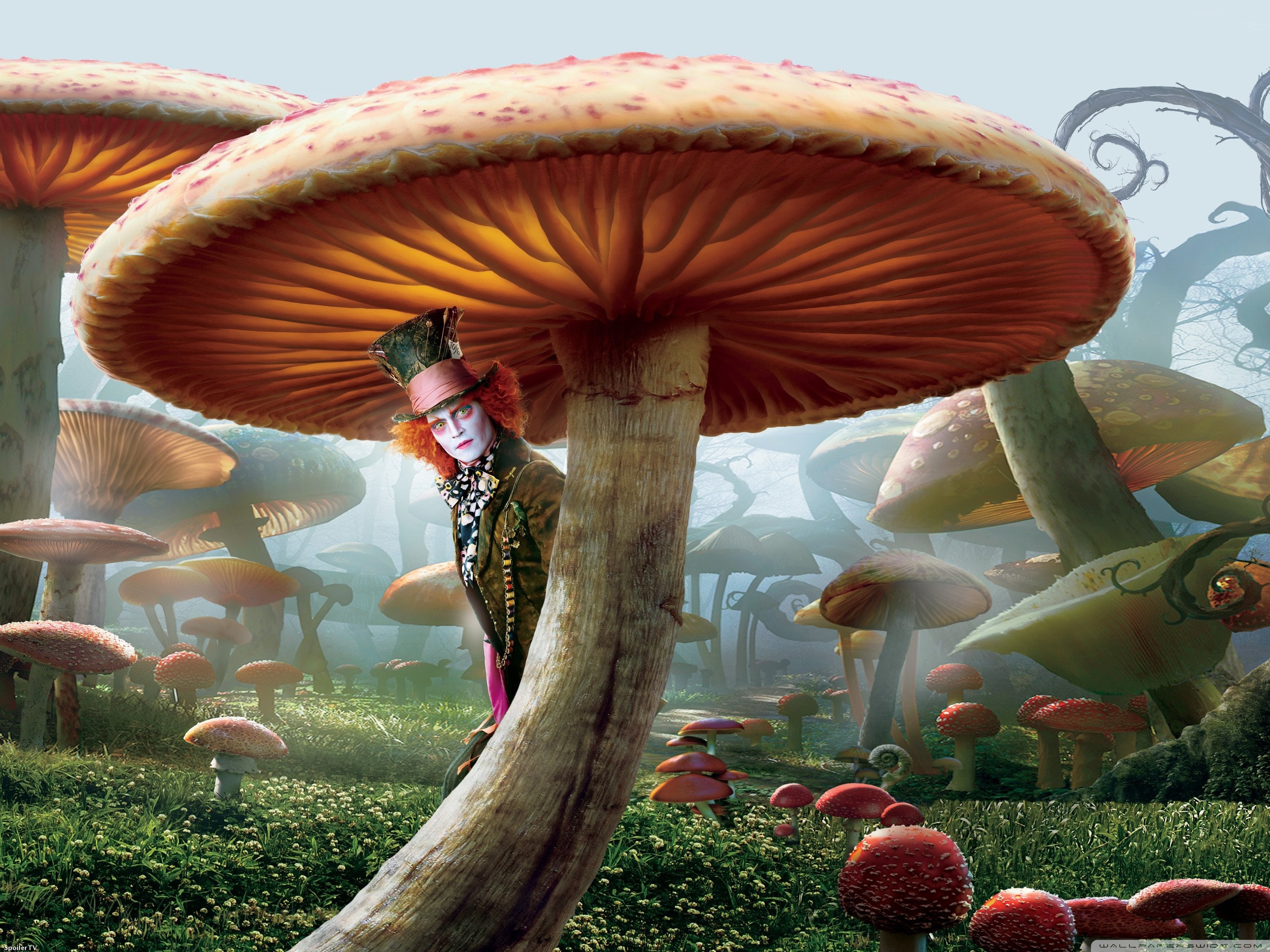 Mushrooms From Alice In Wonderland , HD Wallpaper & Backgrounds