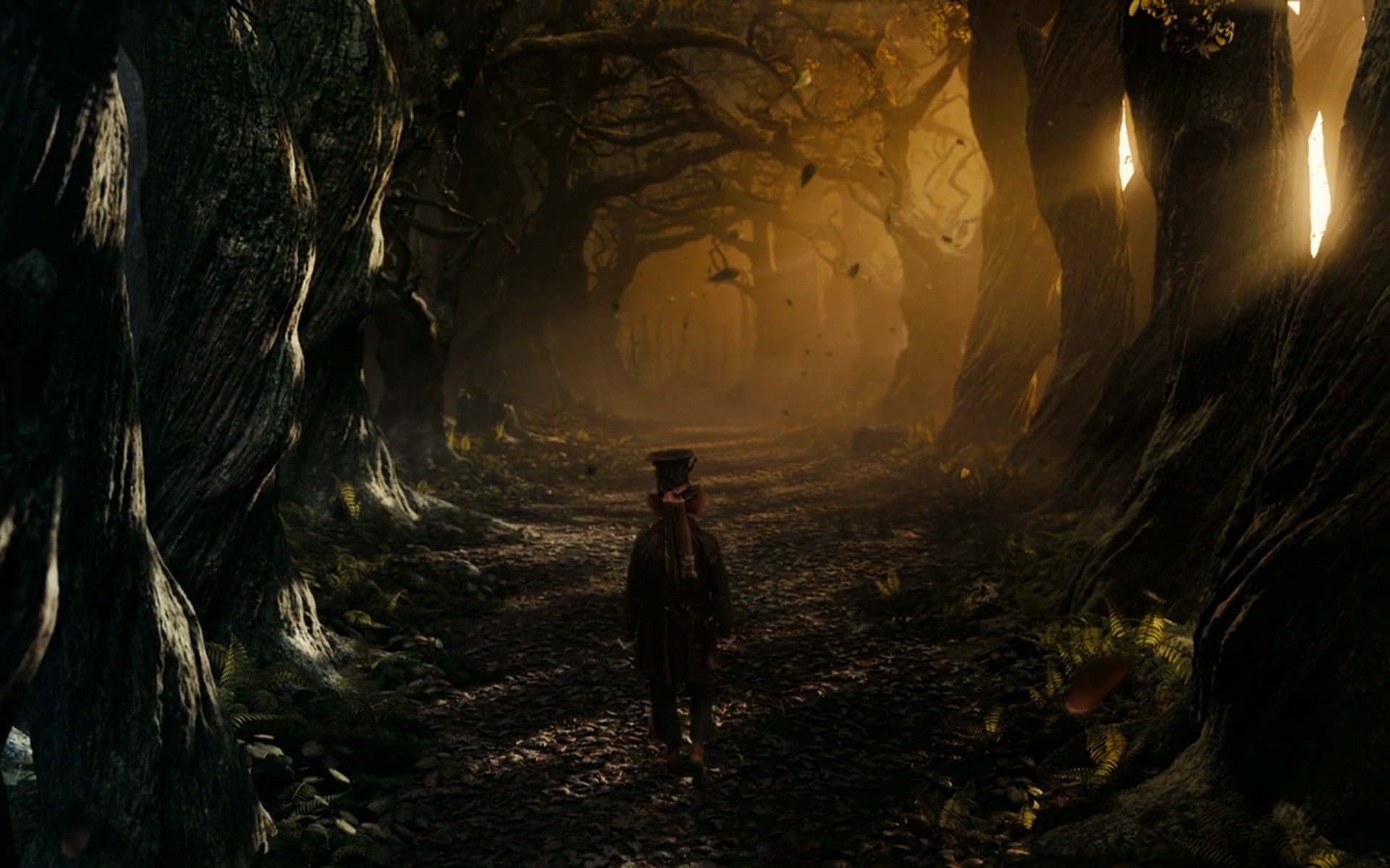 Forest Alice In Wonderland , HD Wallpaper & Backgrounds
