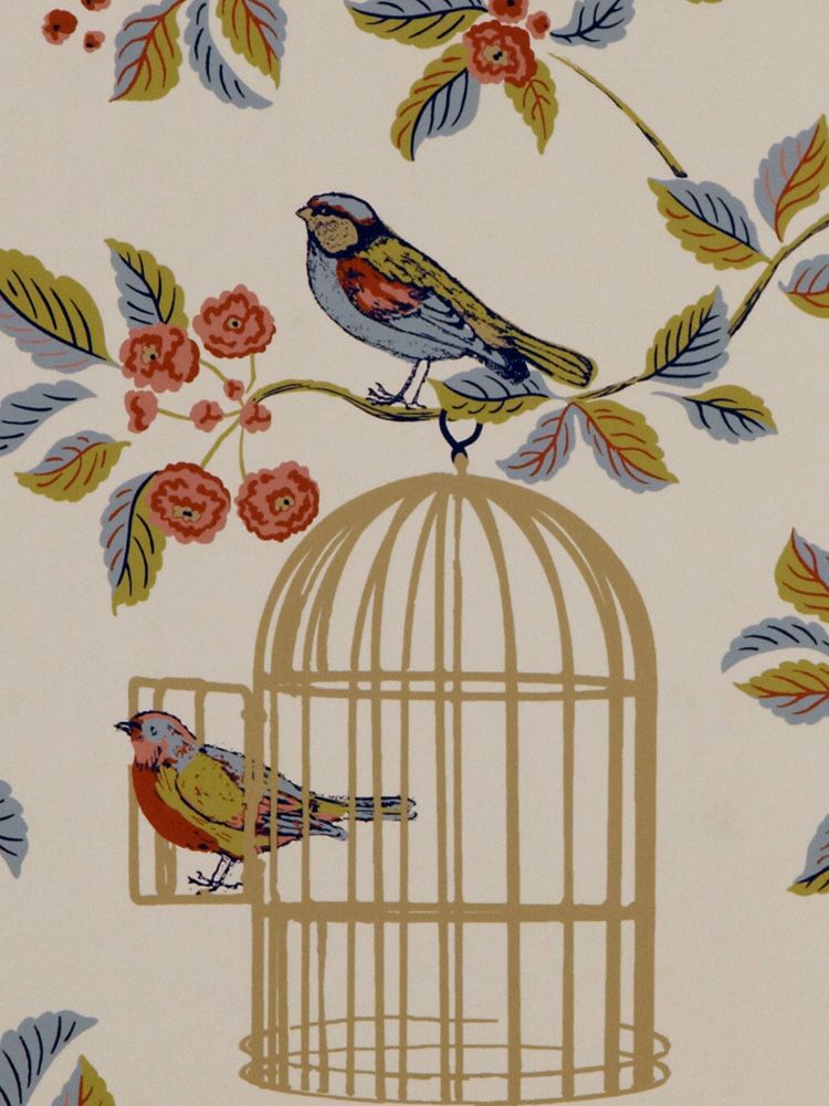 Vintage Wallpaper With Bird Cages , HD Wallpaper & Backgrounds