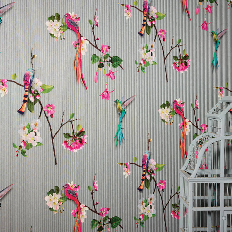 Arthouse Birds Of Paradise Hd Wallpaper Backgrounds Download Arthouse Birds Of Paradise Hd Wallpaper Backgrounds Download