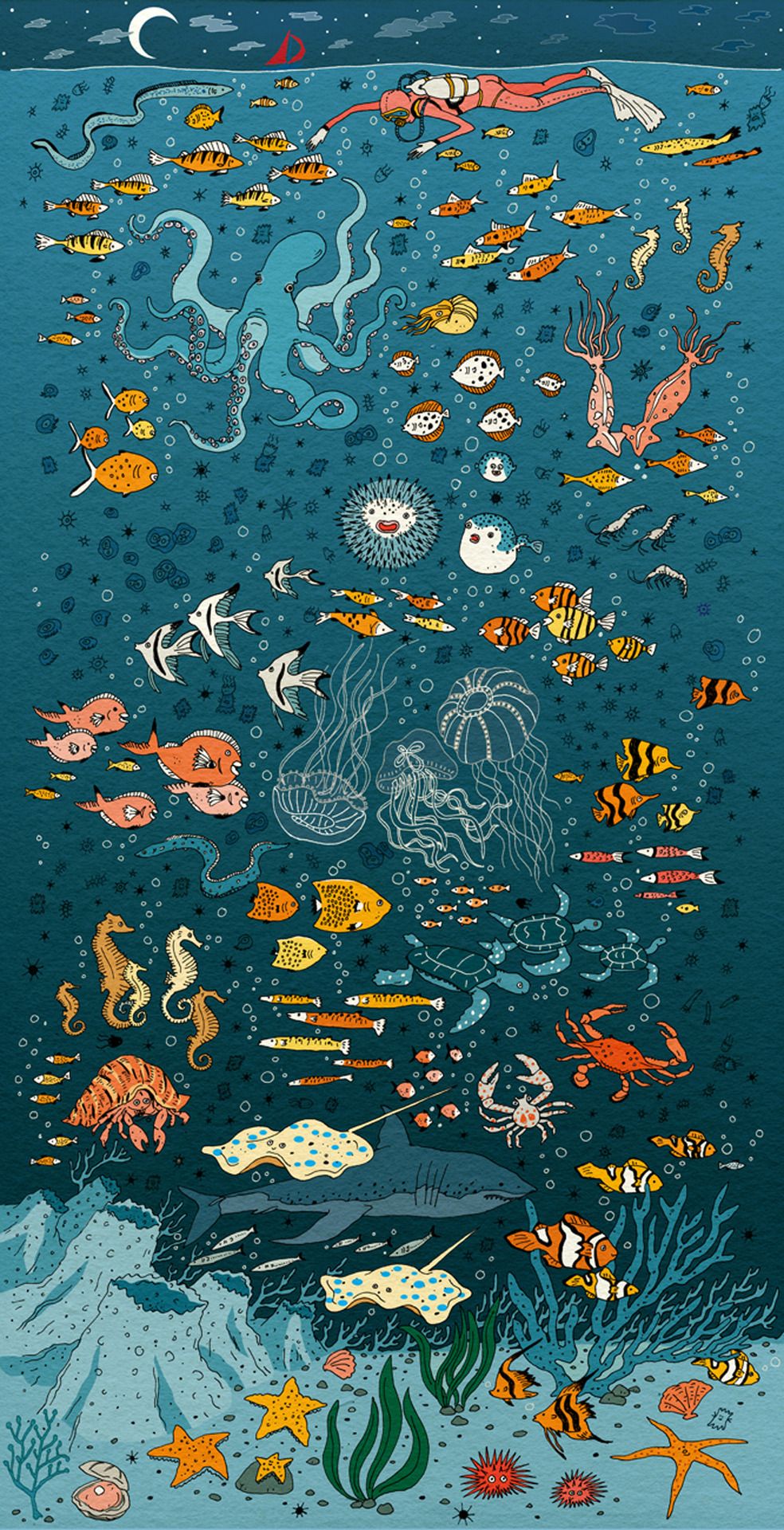 Aqua, Turquoise, Organism, Marine Biology, Water, Pattern, - Under The Sea Illustration , HD Wallpaper & Backgrounds