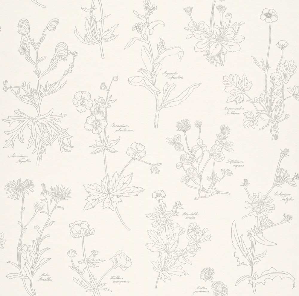 Rasch Wallpaper Freja Plants White Grey - Drawing , HD Wallpaper & Backgrounds