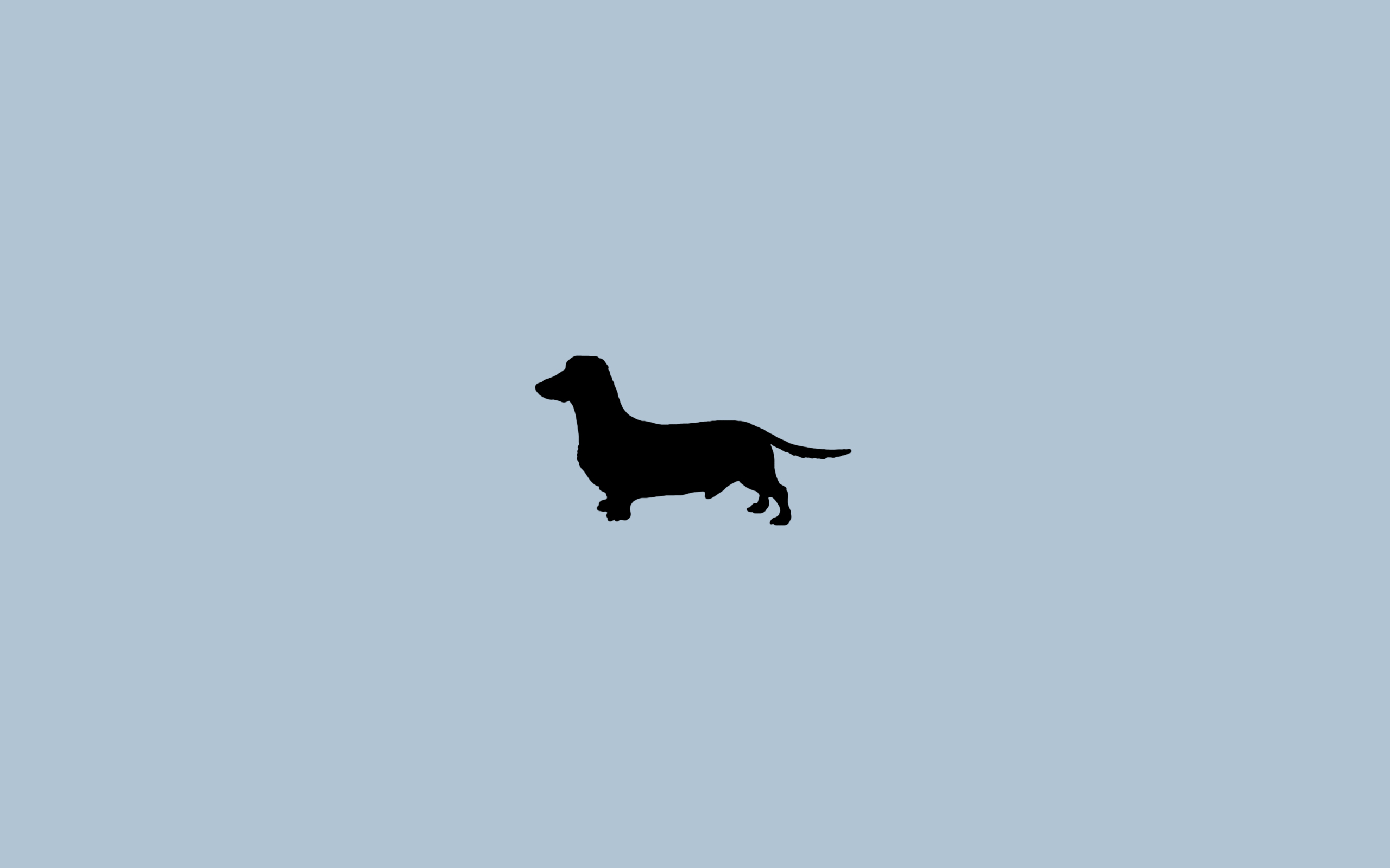Dachshund Wallpapers - Dachshund Silhouette , HD Wallpaper & Backgrounds