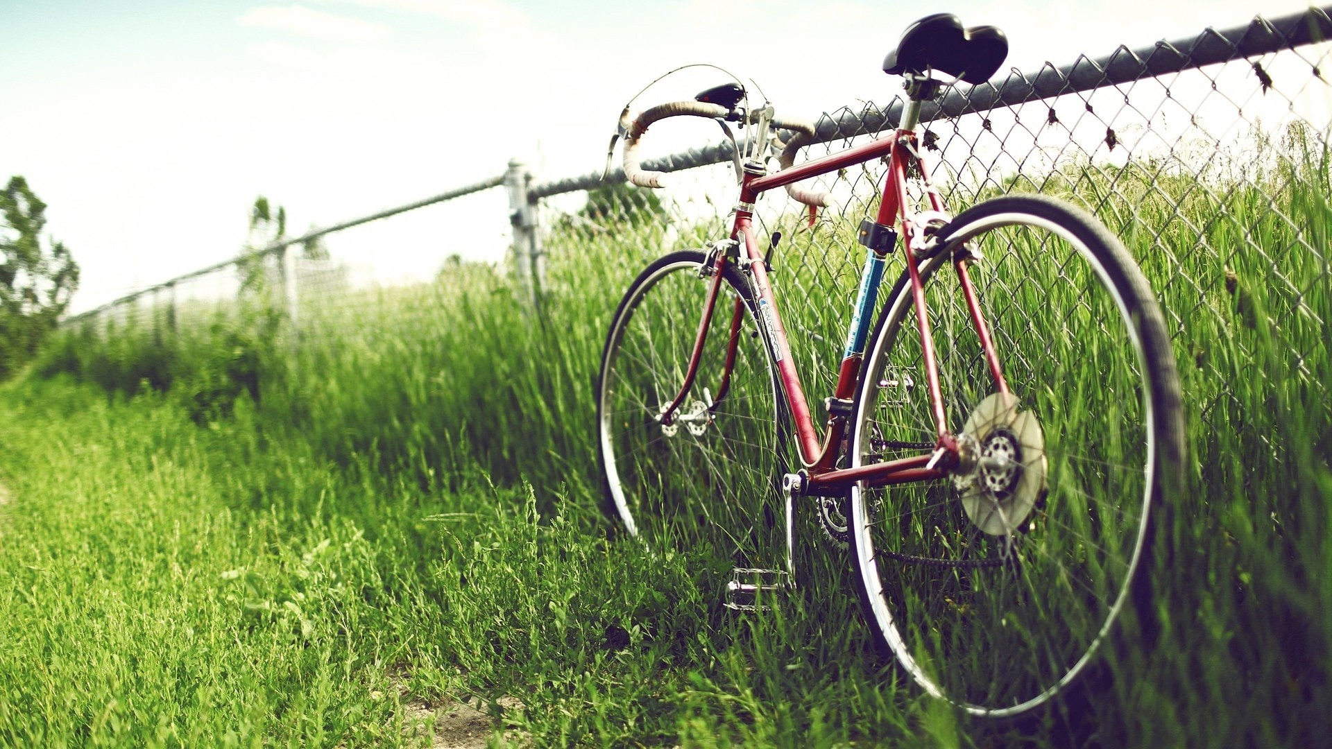Bicycle - Classic Road Bike Wallpaper Hd , HD Wallpaper & Backgrounds