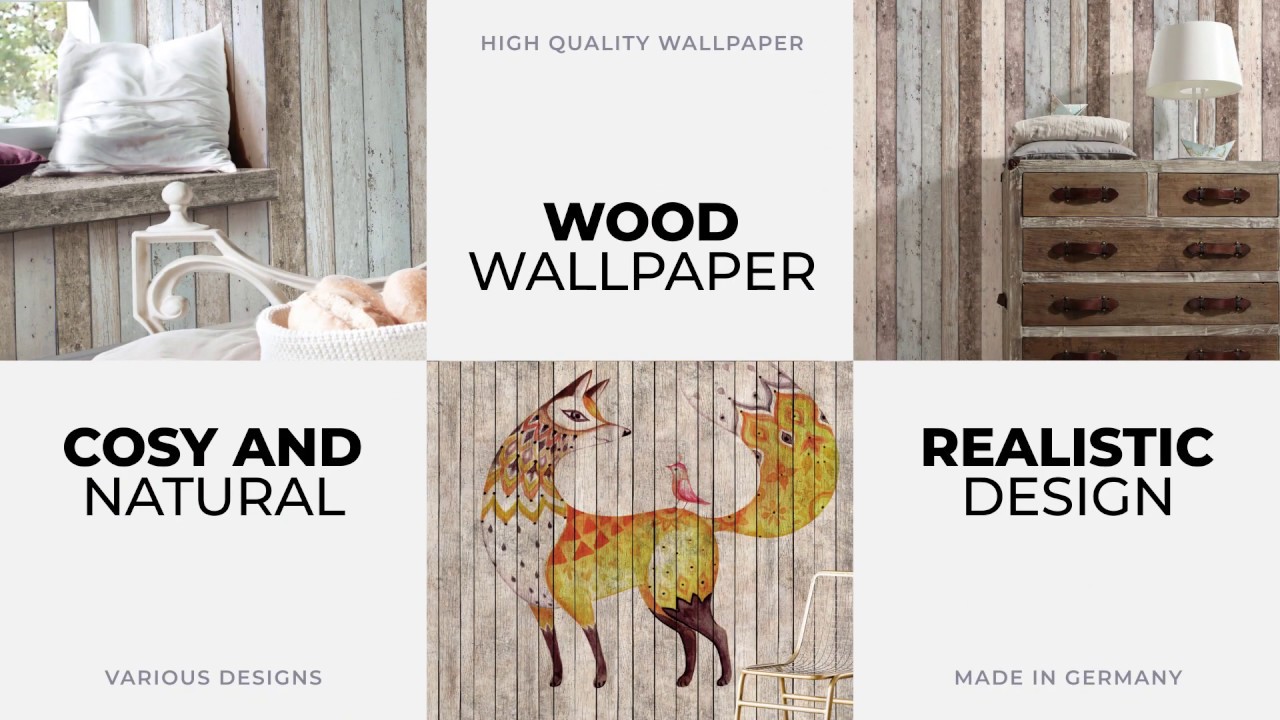 Deer , HD Wallpaper & Backgrounds