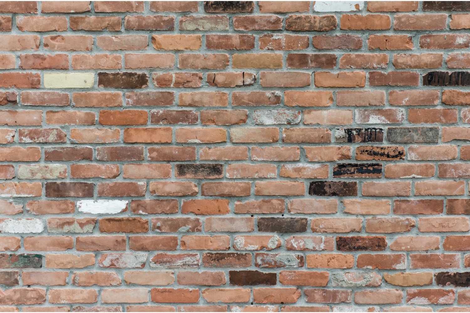 Red Brick Wallpaper Mural - Nice Background For Video Conference , HD Wallpaper & Backgrounds